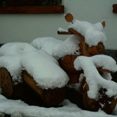 Hotel Landhotel Flohatal Heidersdorf